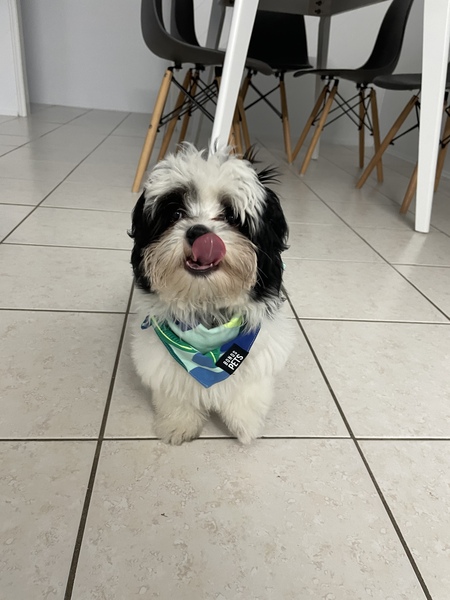 Entry image for Titan . Clicking this image will show a larger photo