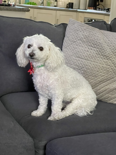 Entry image for Holly. Clicking this image will show a larger photo