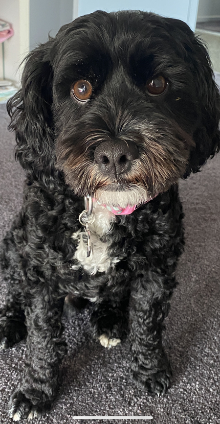 Entry image for Fred. Clicking this image will show a larger photo