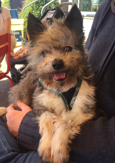 Entry image for Shyly . Clicking this image will show a larger photo