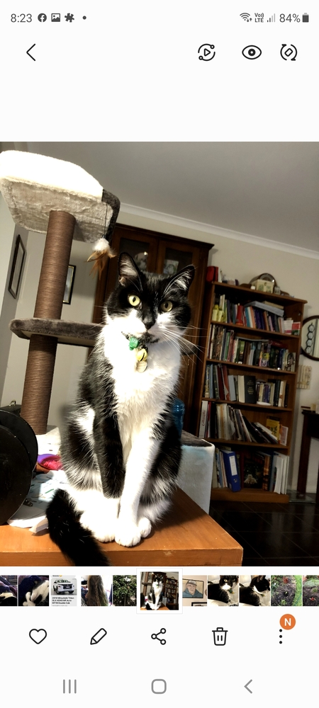 Entry image for Jessie. Clicking this image will show a larger photo