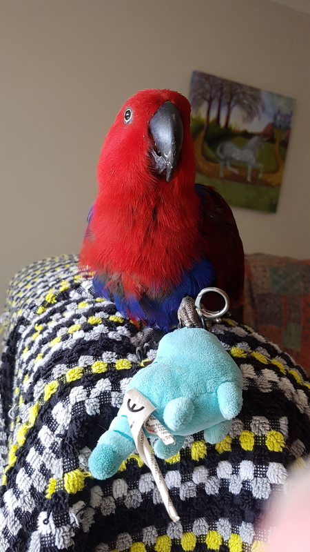 Entry image for Pandora. Clicking this image will show a larger photo