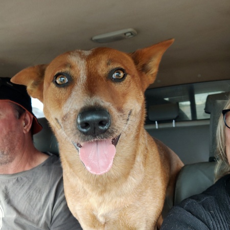 Entry image for Tilly. Clicking this image will show a larger photo