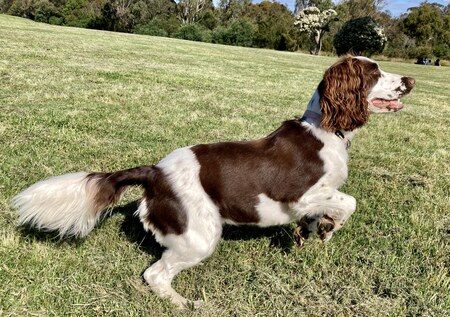 Entry image for Sally. Clicking this image will show a larger photo