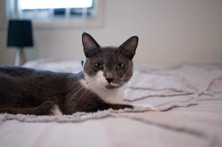 Entry image for Storm. Clicking this image will show a larger photo