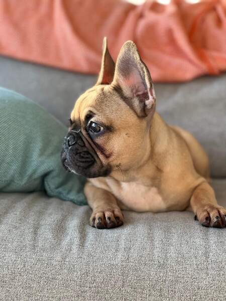 Entry image for California. Clicking this image will show a larger photo