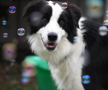 Entry image for Mj. Clicking this image will show a larger photo