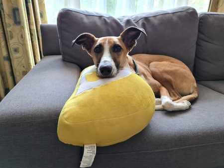 Entry image for Mortimer . Clicking this image will show a larger photo