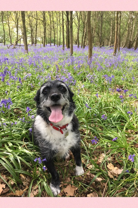 Entry image for Zoe. Clicking this image will show a larger photo