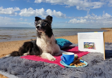 Entry image for Dasha. Clicking this image will show a larger photo