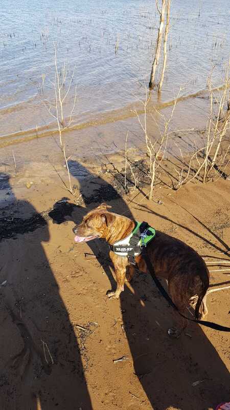 Entry image for Austin. Clicking this image will show a larger photo