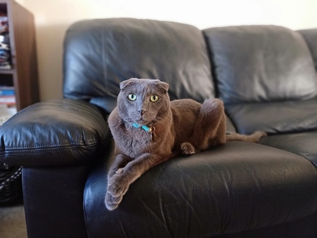 Entry image for Mak. Clicking this image will show a larger photo