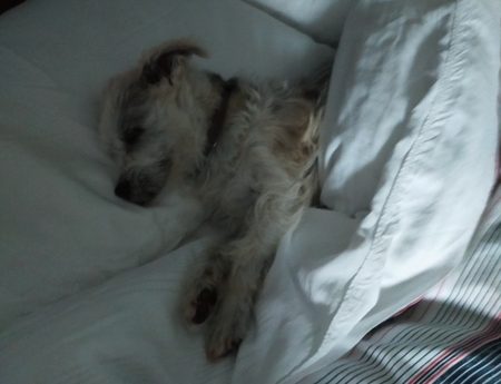 Entry image for Luey. Clicking this image will show a larger photo