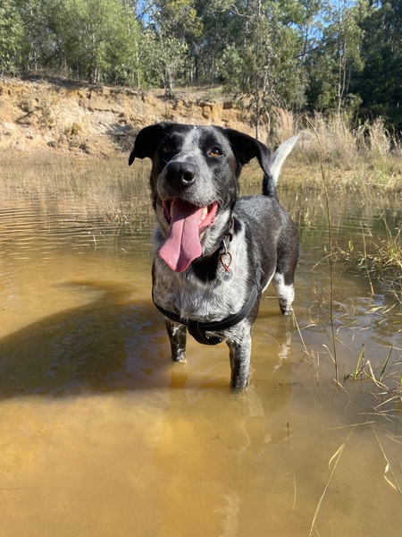 Entry image for Jed . Clicking this image will show a larger photo