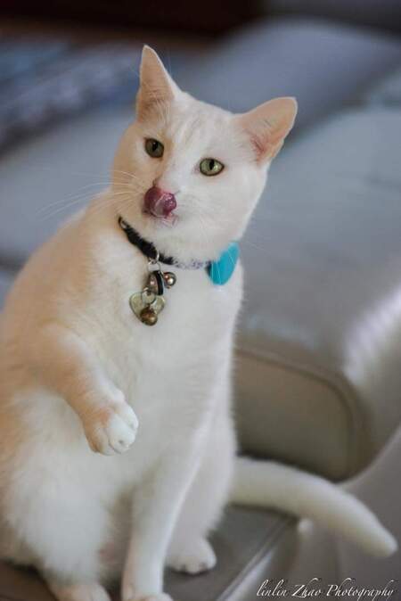 Entry image for Jack . Clicking this image will show a larger photo