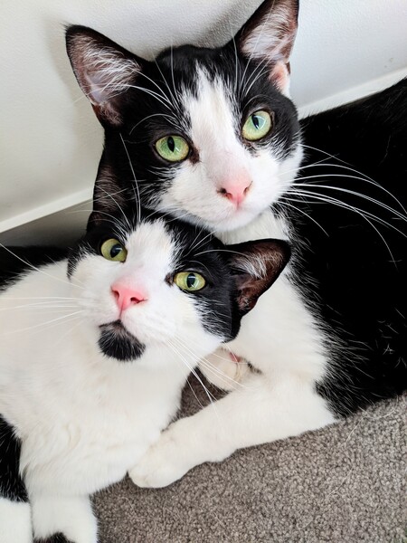 Entry image for Pixel & Pac-Man. Clicking this image will show a larger photo