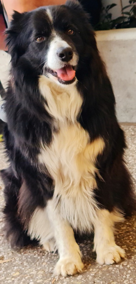 Entry image for Logan . Clicking this image will show a larger photo