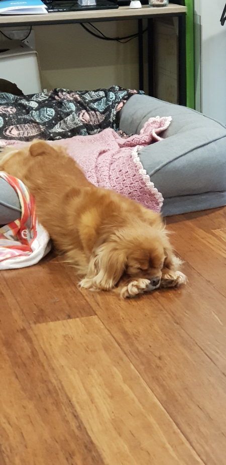 Entry image for Ted. Clicking this image will show a larger photo