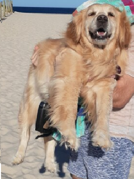 Entry image for Margot. Clicking this image will show a larger photo