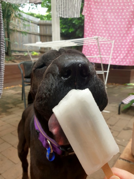 Entry image for Peppa. Clicking this image will show a larger photo