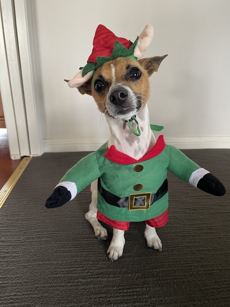 Entry image for Harry . Clicking this image will show a larger photo