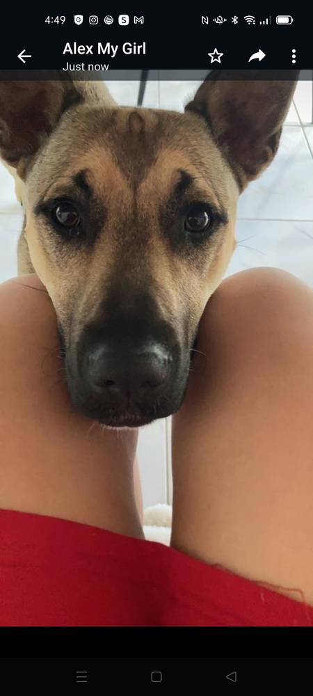 Entry image for Bella. Clicking this image will show a larger photo