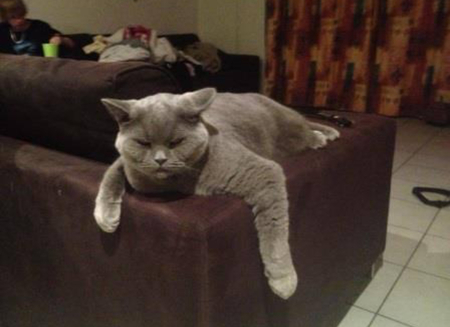 Entry image for Sir “George” Hucknell Hollitt . Clicking this image will show a larger photo