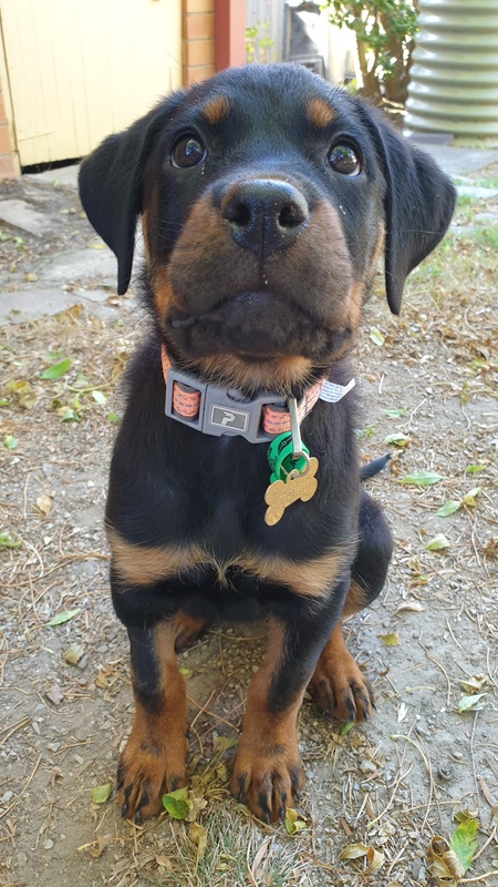 Entry image for Indiana. Clicking this image will show a larger photo