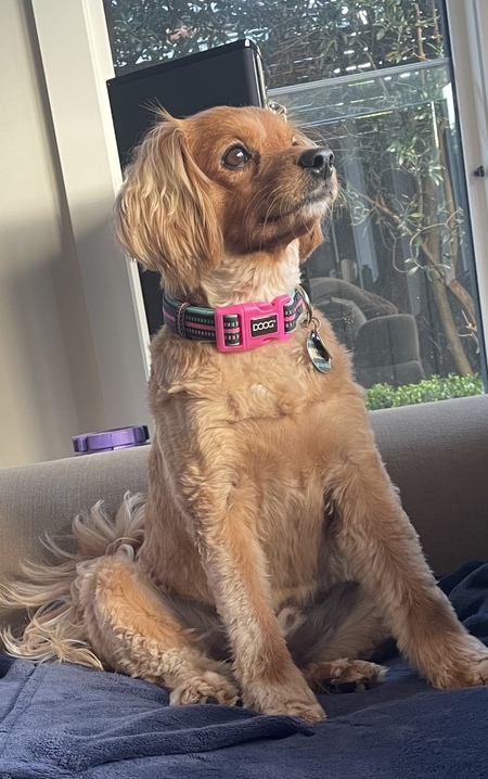 Entry image for Max. Clicking this image will show a larger photo