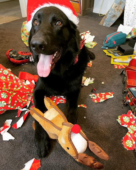 Entry image for Major. Clicking this image will show a larger photo