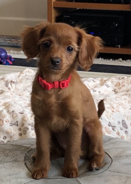 Entry image for Molly. Clicking this image will show a larger photo