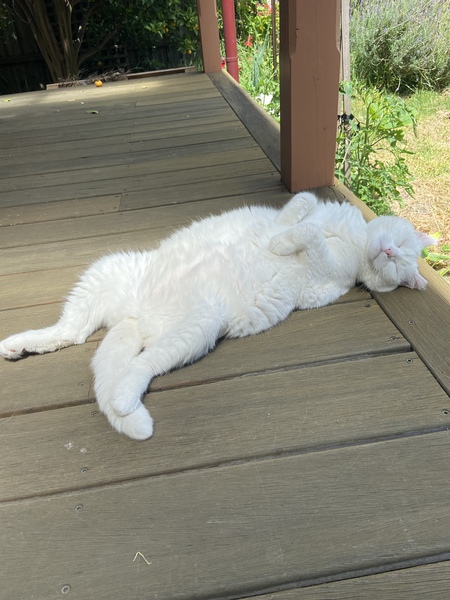 Entry image for Emma. Clicking this image will show a larger photo