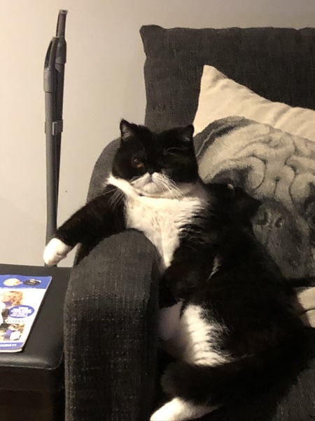 Entry image for Ishka . Clicking this image will show a larger photo