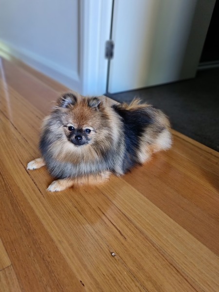 Entry image for ASTRA. Clicking this image will show a larger photo