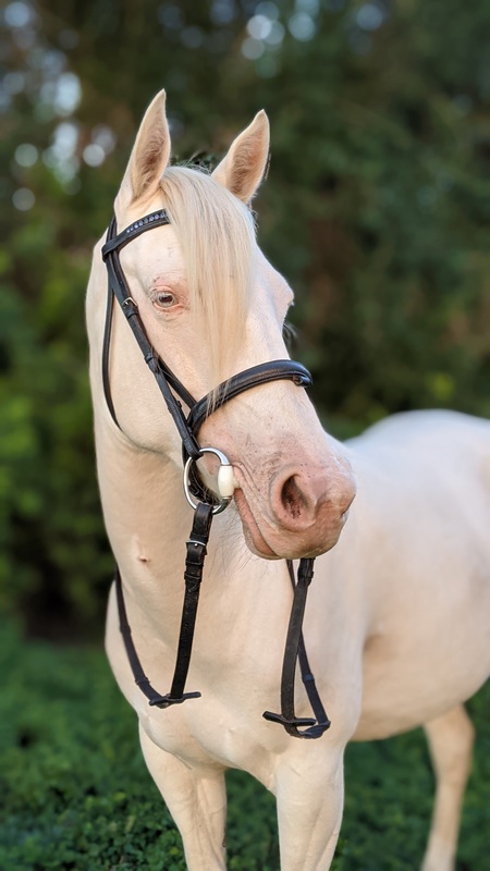 Entry image for Mississippi. Clicking this image will show a larger photo