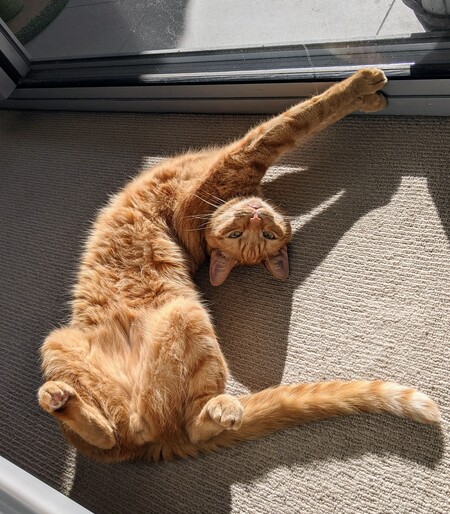 Entry image for Kennedy. Clicking this image will show a larger photo