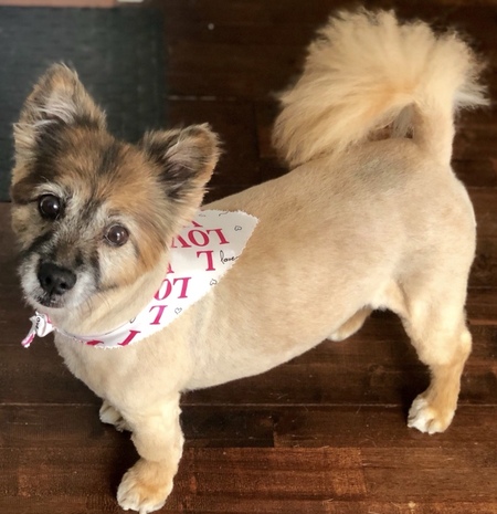 Entry image for Sassy Belle. Clicking this image will show a larger photo