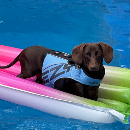 Entry image for Bobby. Clicking this image will show a larger photo