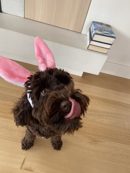 Entry image for Meg. Clicking this image will show a larger photo