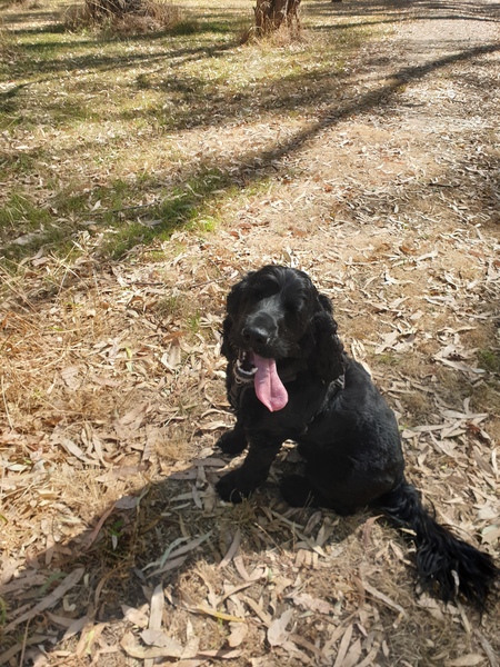 Entry image for Marli. Clicking this image will show a larger photo