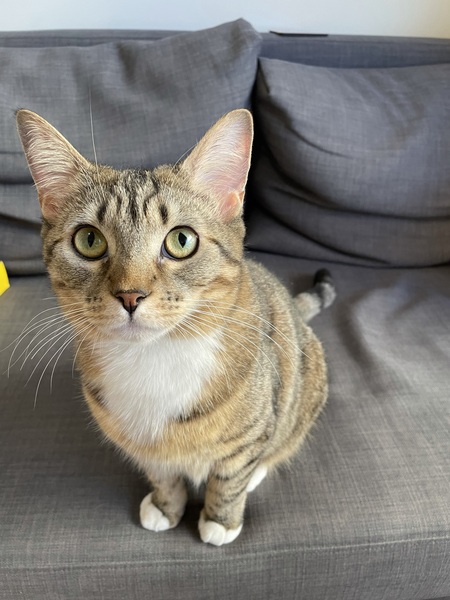 Entry image for Alex. Clicking this image will show a larger photo