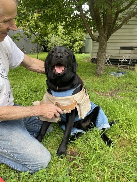 Entry image for Max. Clicking this image will show a larger photo