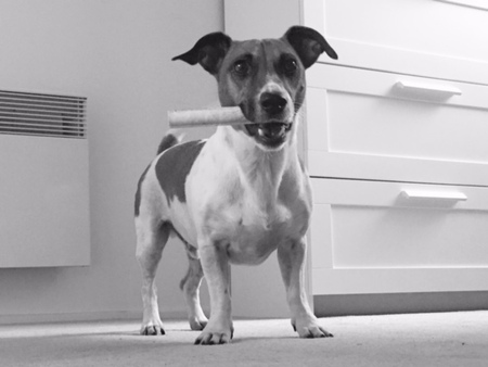 Entry image for Jordi. Clicking this image will show a larger photo