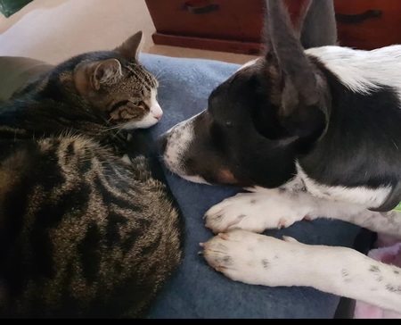 Entry image for Osky and Melly. Clicking this image will show a larger photo