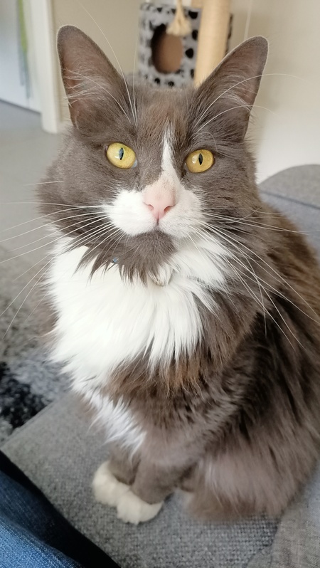 Entry image for Kiori. Clicking this image will show a larger photo