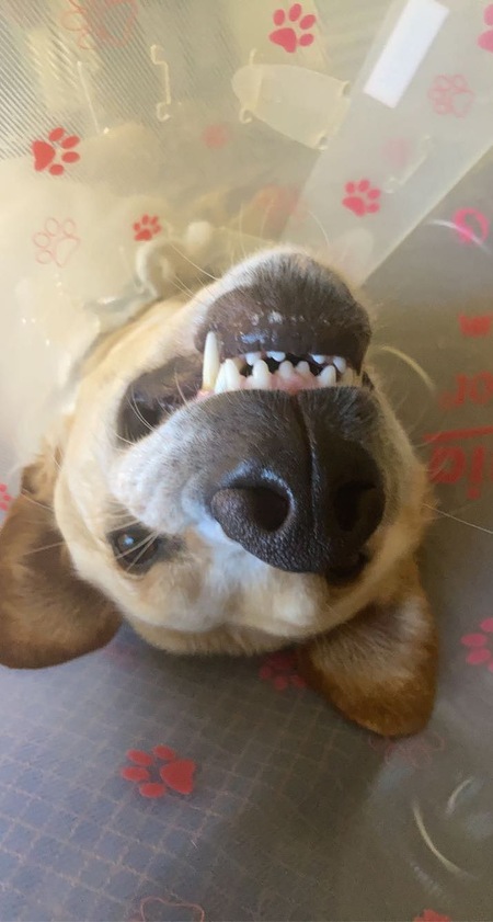 Entry image for Jim. Clicking this image will show a larger photo