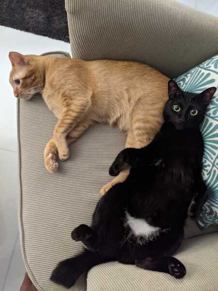 Entry image for Illy and Claude. Clicking this image will show a larger photo