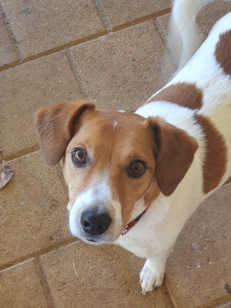 Entry image for Max. Clicking this image will show a larger photo