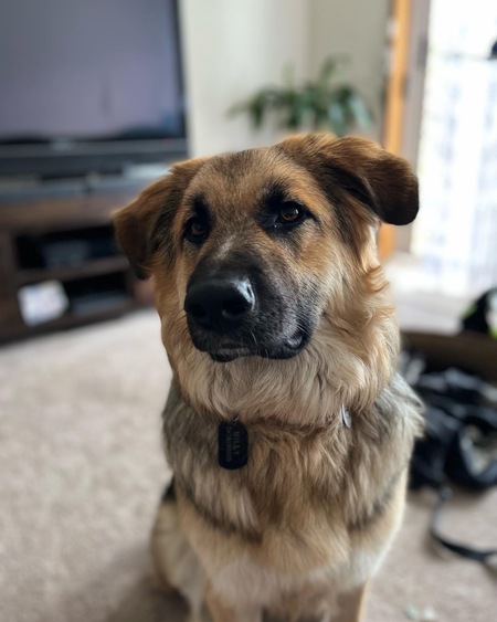 Entry image for Milly. Clicking this image will show a larger photo