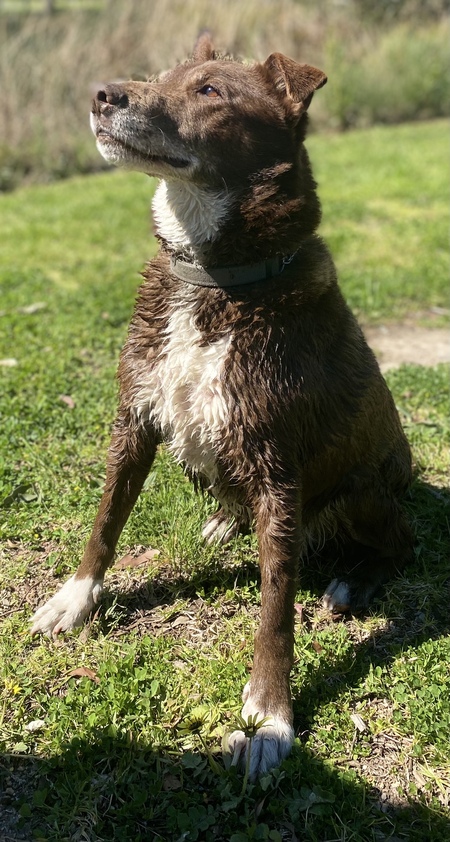 Entry image for Danny. Clicking this image will show a larger photo